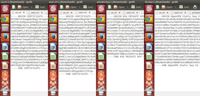 File:Openvpn-linux-network-manager-003b.jpg